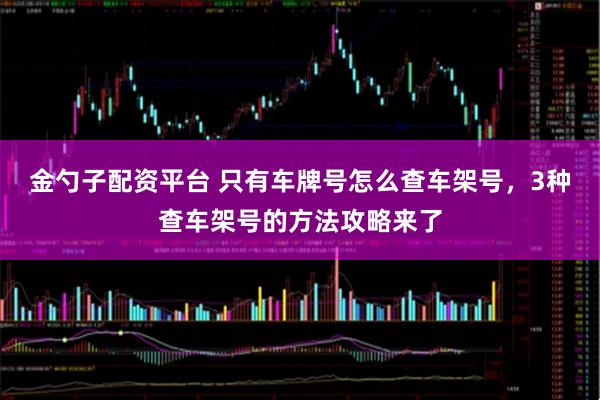金勺子配资平台 只有车牌号怎么查车架号，3种查车架号的方法攻略来了